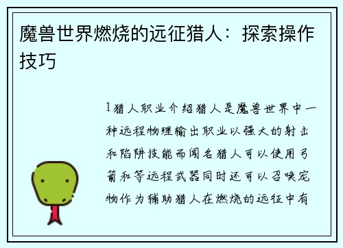 魔兽世界燃烧的远征猎人：探索操作技巧